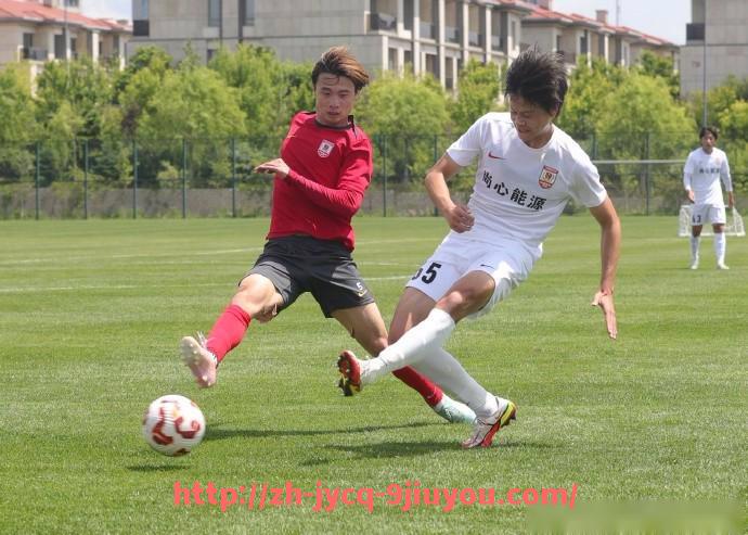 jiuyou九游娱乐-法甲最佳教练指导案例解析：战术执行与临场指挥