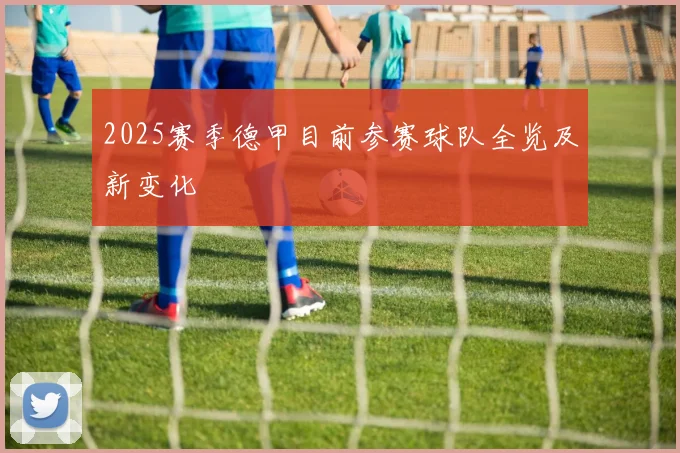 2025赛季德甲目前参赛球队全览及新变化