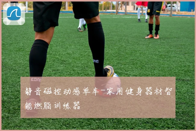 静音磁控动感单车-家用健身器材智能燃脂训练器