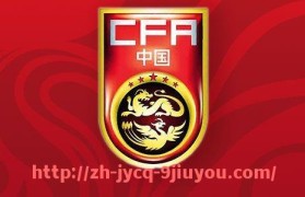 jiuyou九游娱乐-2024年法甲外援赛季总结及整体表现回顾分析